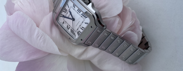 Cartier Santos Medium ModellNr: WSSA0029