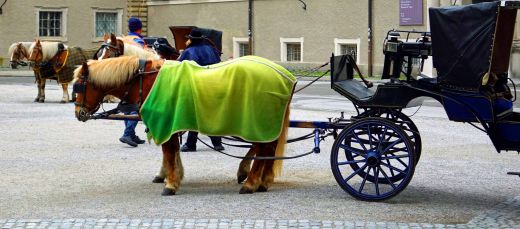 Die Fiaker sind auch in Salzburg beliebt.